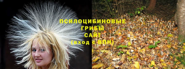 дурь Покровск