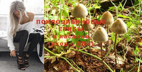 мдпв Покачи