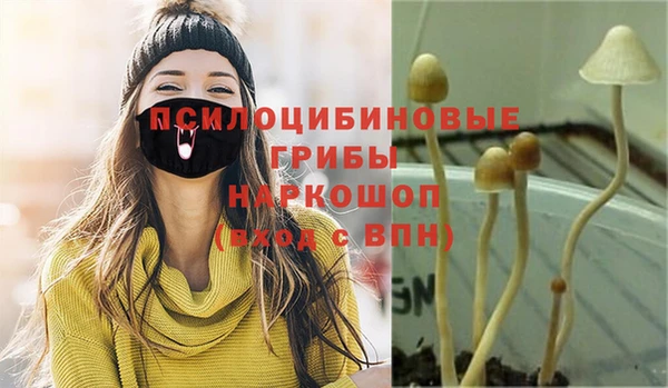 таблы Пересвет