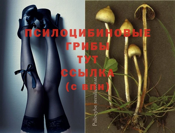 мдпв Покачи