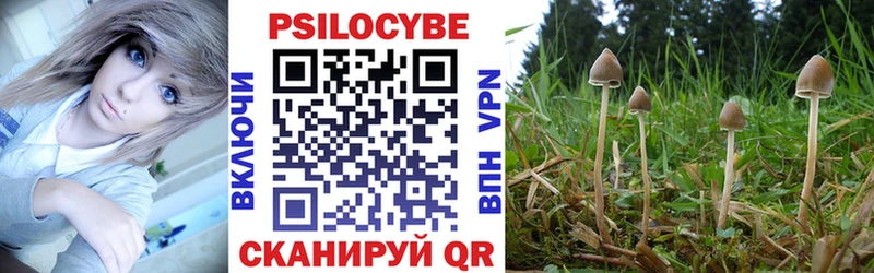 мега как войти  Белебей  Псилоцибиновые грибы Magic Shrooms 