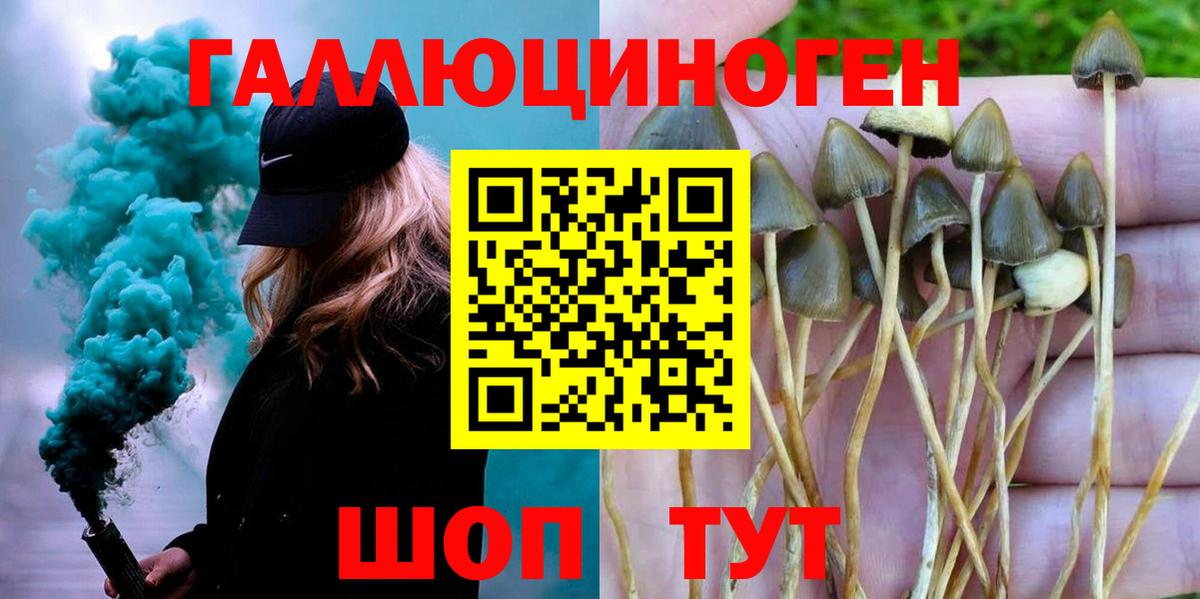Галлюциногенные грибы Psilocybine cubensis  магазин    Белебей  Вход с VPN 