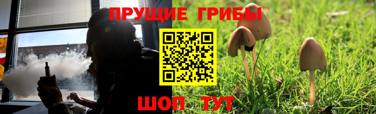 Галлюциногенные грибы Psilocybine cubensis Белебей